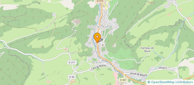 localisation de l'entreprise MONSIEUR MICKAEL BEN NEJMA à SALINS-LES-BAINS