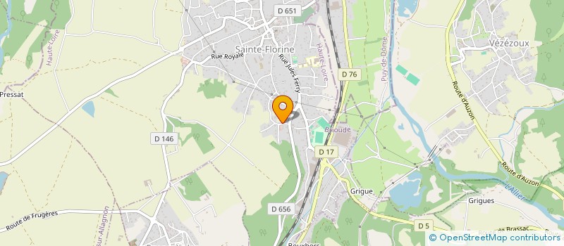 localisation de l'entreprise MONSIEUR MICKAEL BERGOGNAT  SAINTE-FLORINE