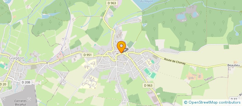 localisation de l'entreprise MONSIEUR MICKAEL BIENVENU  TRELON