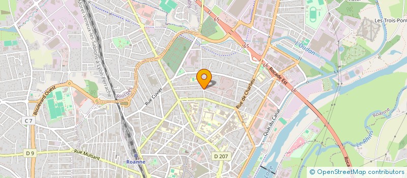 localisation de l'entreprise MONSIEUR MICKAEL BOSNET  ROANNE