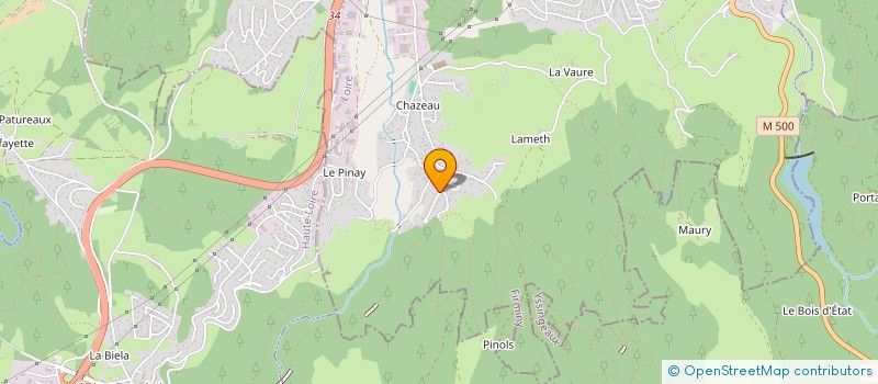 localisation de l'entreprise MONSIEUR MICKAEL BOSONE  FIRMINY