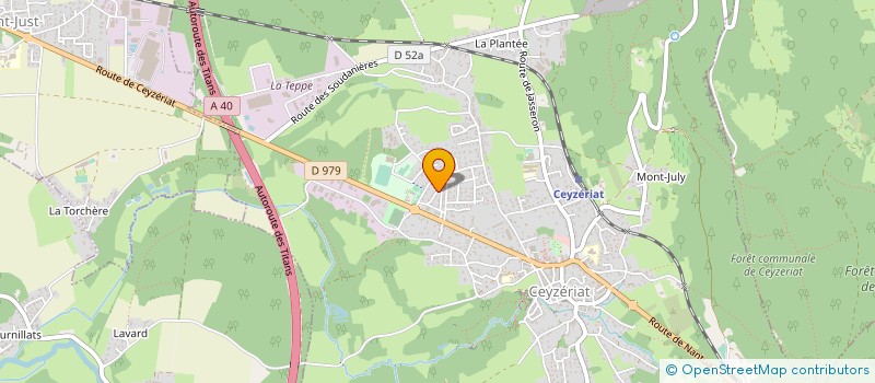 localisation de l'entreprise MONSIEUR MICKAEL BREVET  TARARE