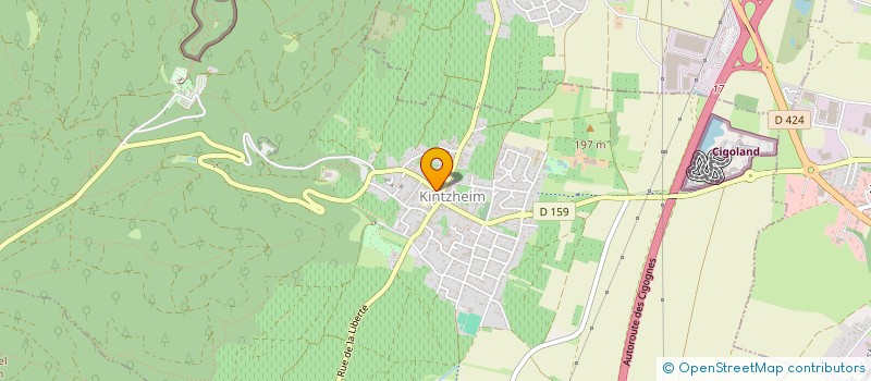 localisation de l'entreprise MONSIEUR MICKAEL BURGER  KINTZHEIM