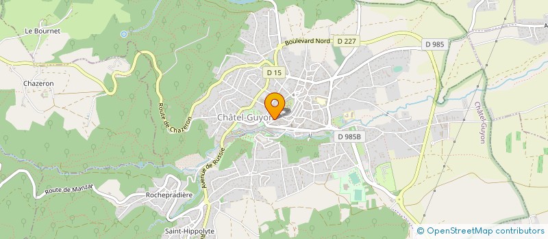 localisation de l'entreprise MONSIEUR MICKAEL DA SILVA DE ARAUJO  SAINT-GEORGES-DE-MONS