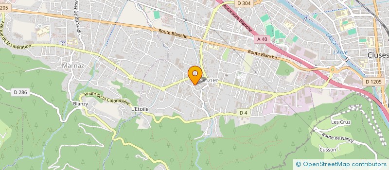 localisation de l'entreprise MONSIEUR MICKAEL DANG DINH  SCIONZIER