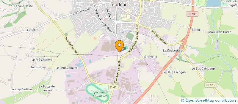 localisation de l'entreprise MONSIEUR MICKAEL DELANNOY à LOUDEAC
