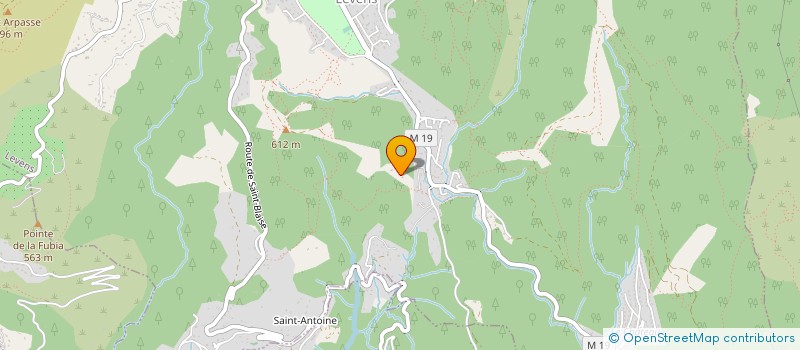 localisation de l'entreprise MONSIEUR MICKAEL DESMAZON  LEVENS