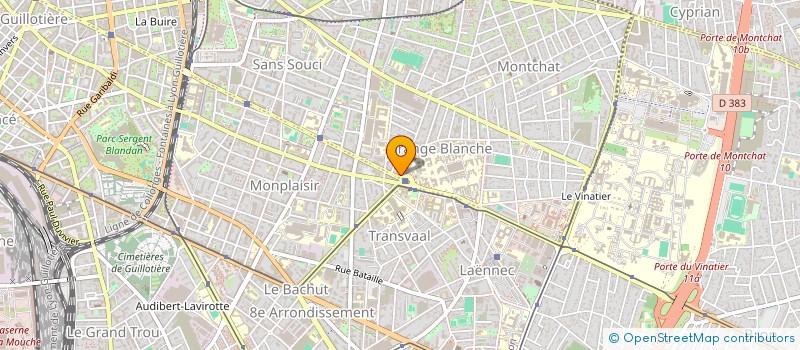 localisation de l'entreprise MONSIEUR MICKAEL DIELEMAN  LYON