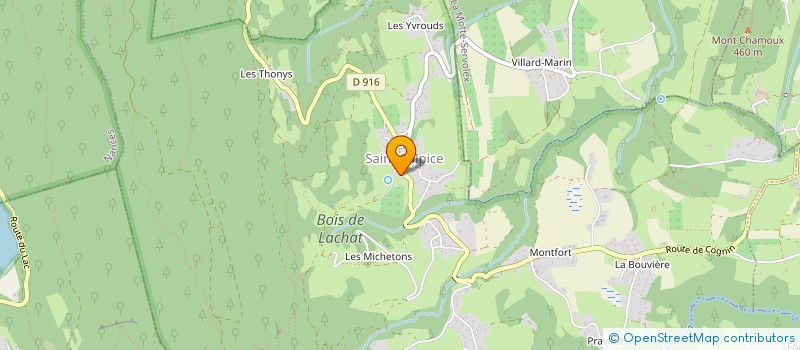 localisation de l'entreprise MONSIEUR MICKAEL FORRAY  SAINT-SULPICE