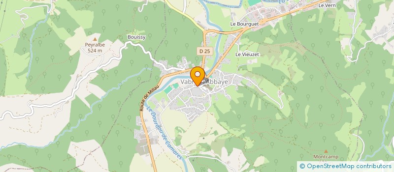 localisation de l'entreprise MONSIEUR MICKAEL FORT  VABRES-L'ABBAYE