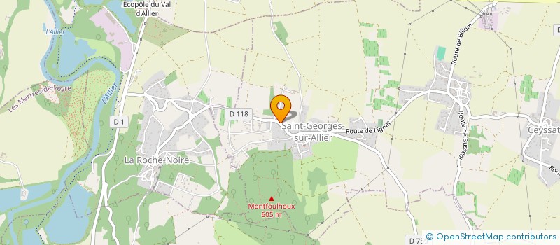 localisation de l'entreprise MONSIEUR MICKAEL FOURNOT  SAINT-GEORGES-SUR-ALLIER