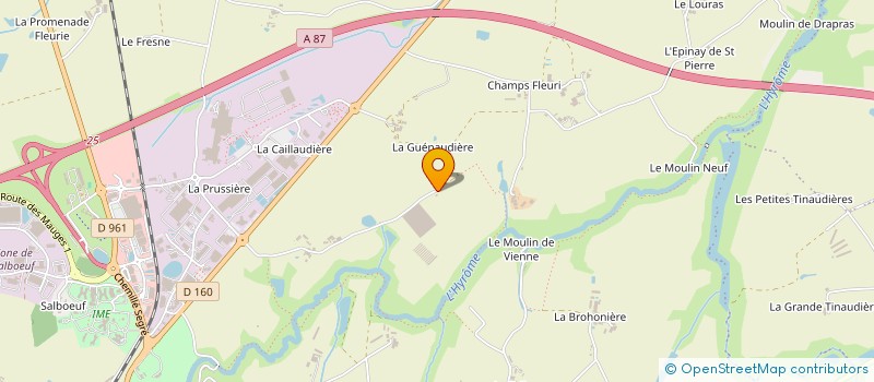 localisation de l'entreprise MONSIEUR MICKAEL GODINEAU  CHEMILLE-EN-ANJOU