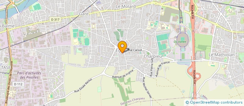 localisation de l'entreprise MONSIEUR MICKAEL GONZALEZ  DECINES-CHARPIEU