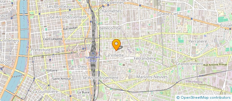 localisation de l'entreprise MONSIEUR MICKAEL GRAND  LYON