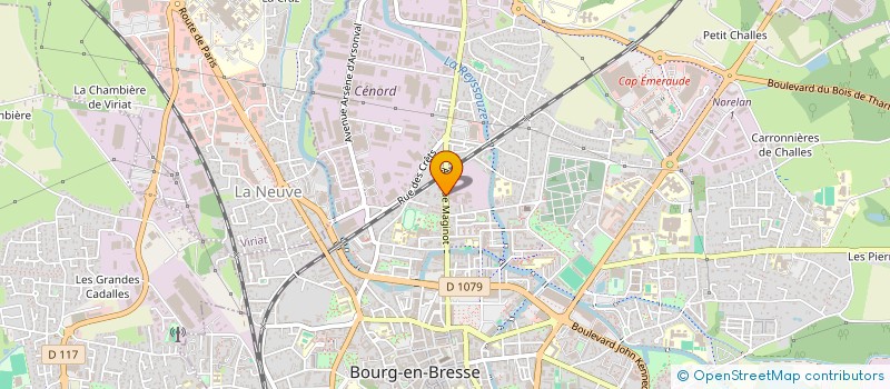 localisation de l'entreprise MONSIEUR MICKAEL GUICHARD  BOURG-EN-BRESSE