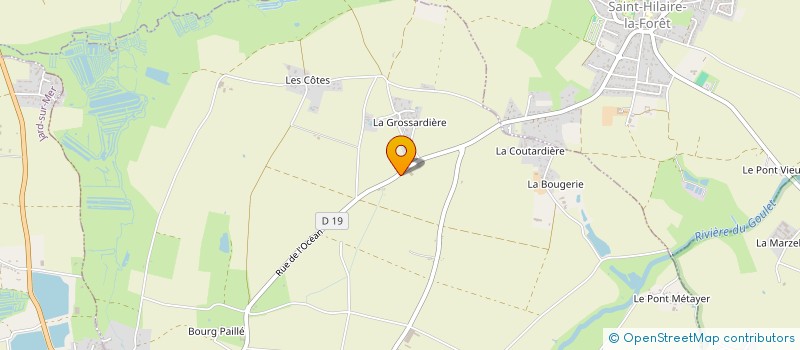 localisation de l'entreprise MONSIEUR MICKAEL IDAIS à SAINT-VINCENT-SUR-JARD