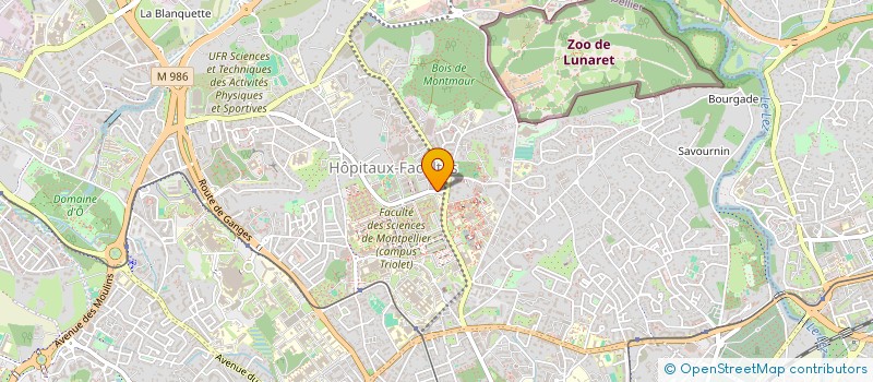 localisation de l'entreprise MONSIEUR MICKAEL IVARS à MONTPELLIER