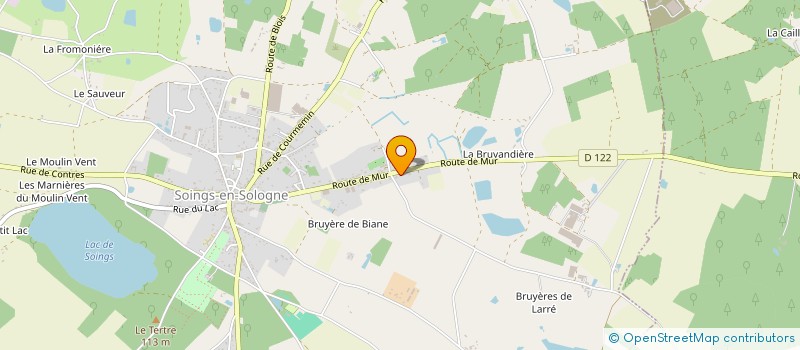 localisation de l'entreprise MONSIEUR MICKAEL JARNIGON  SOINGS-EN-SOLOGNE