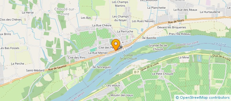 localisation de l'entreprise MONSIEUR MICKAEL JOULIN  CHOUZE-SUR-LOIRE