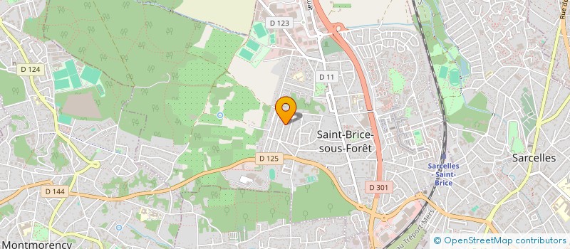 localisation de l'entreprise MONSIEUR MICKAEL LE DYLIO  SAINT-BRICE-SOUS-FORET