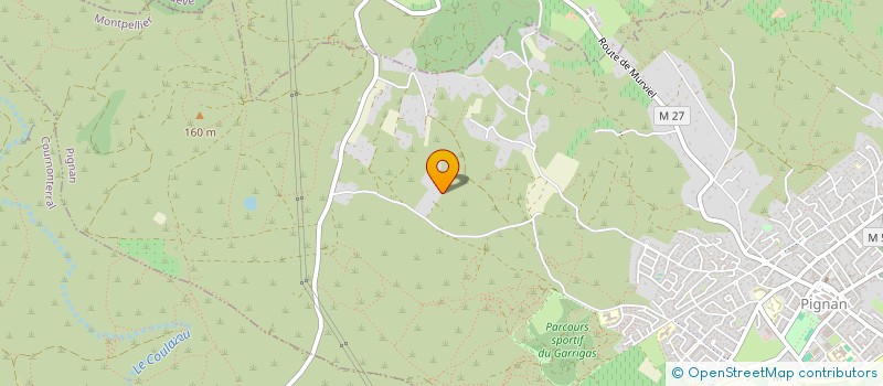 localisation de l'entreprise MONSIEUR MICKAEL LEVIS  MONTIGNY-LES-METZ