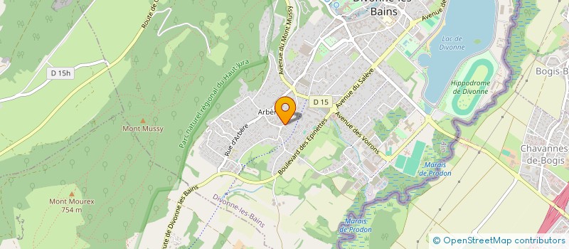 localisation de l'entreprise MONSIEUR MICKAEL LIMA DOS SANTOS à DIVONNE-LES-BAINS