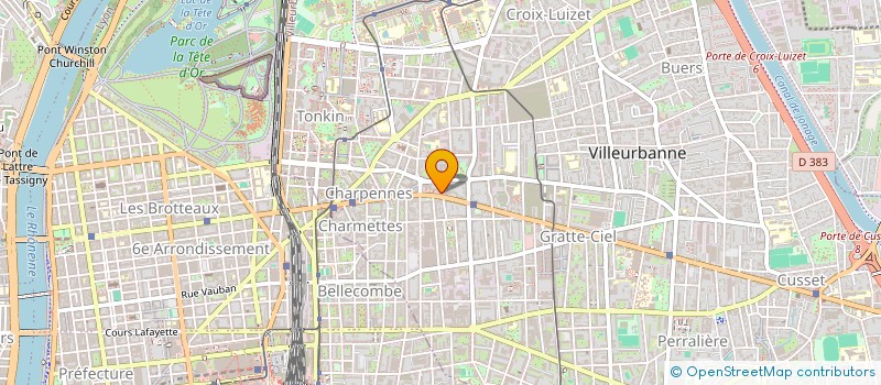 localisation de l'entreprise MONSIEUR MICKAEL MAZALTARIM  VILLEURBANNE