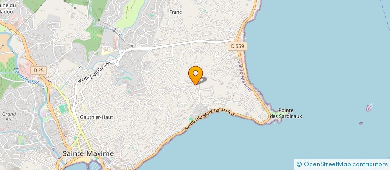 localisation de l'entreprise MONSIEUR MICKAEL MORICE à SAINTE-MAXIME
