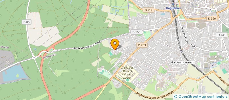 localisation de l'entreprise MONSIEUR MICKAEL ORGAWITZ  HAGUENAU