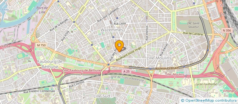 localisation de l'entreprise MONSIEUR MICKAEL PAU  LILLE