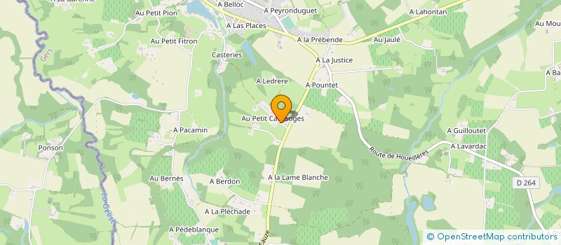 localisation de l'entreprise MONSIEUR MICKAEL PELLIZZARI  CASTELNAU D'AUZAN LABARRERE