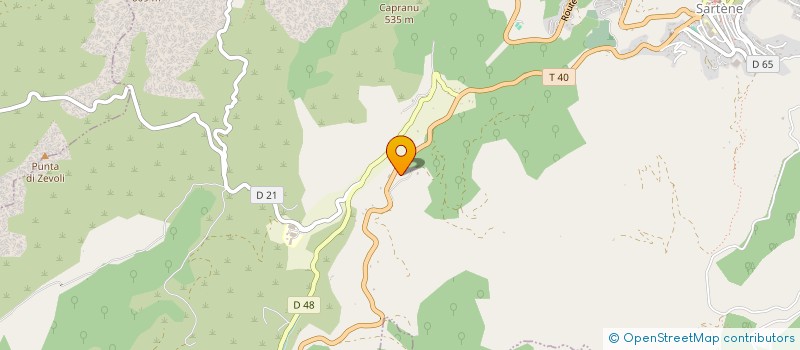 localisation de l'entreprise MONSIEUR MICKAEL RICARD  SARTENE