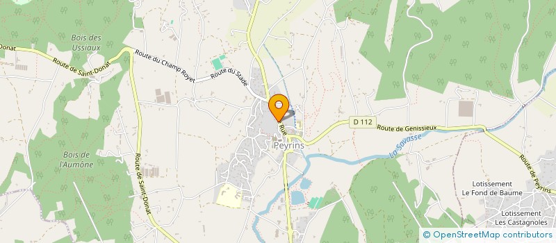 localisation de l'entreprise MONSIEUR MICKAEL RIFFARD  PEYRINS