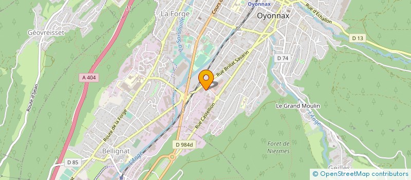 localisation de l'entreprise MONSIEUR MICKAEL RODRIGUES à OYONNAX