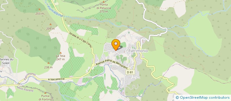 localisation de l'entreprise MONSIEUR MICKAEL RODRIGUEZ  PATRIMONIO