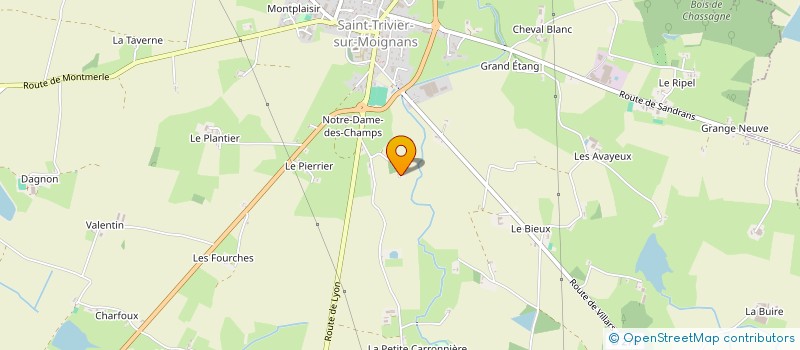 localisation de l'entreprise MONSIEUR MICKAEL ROSENBACH  SAINT-TRIVIER-SUR-MOIGNANS