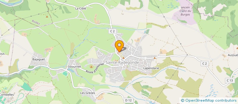 localisation de l'entreprise MONSIEUR MICKAEL ROUS  SAINTE-RADEGONDE