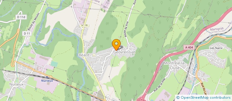 localisation de l'entreprise MONSIEUR MICKAEL SCHIAVONE  BEARD-GEOVREISSIAT