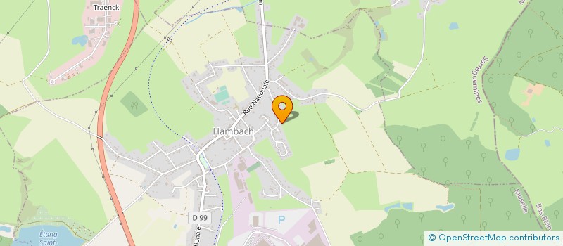 localisation de l'entreprise MONSIEUR MICKAEL SELLINI  HAMBACH