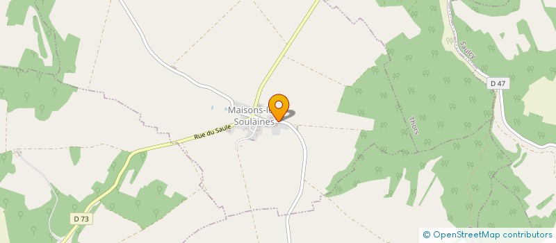 localisation de l'entreprise MONSIEUR MICKAEL THEVENON  MAISONS-LES-SOULAINES