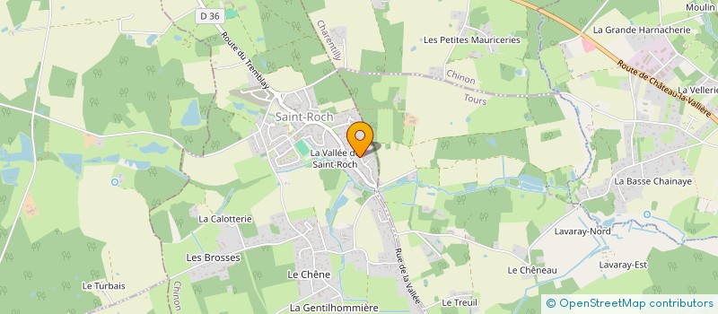 localisation de l'entreprise MONSIEUR MICKAEL THIREAU  SAINT-ROCH