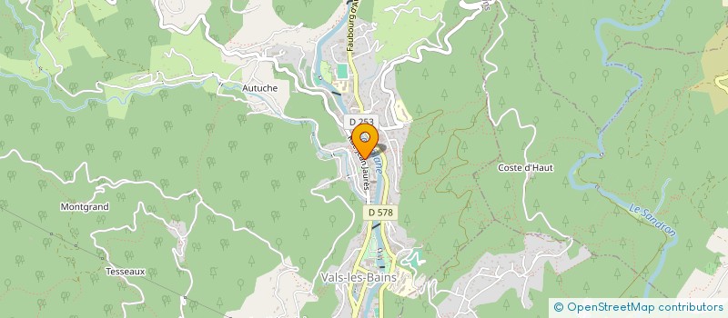 localisation de l'entreprise MONSIEUR MICKAEL VERNE  VALS-LES-BAINS