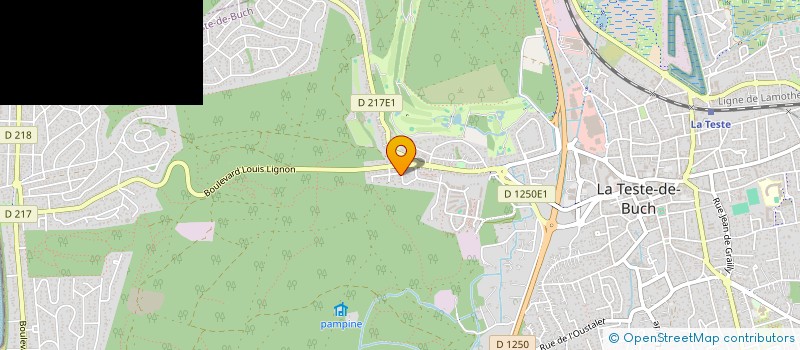 localisation de l'entreprise MONSIEUR MICKAEL VINET à LA TESTE-DE-BUCH