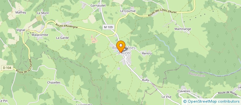 localisation de l'entreprise MONSIEUR MICKAEL WODZYNSKI  ROZIER-COTES-D'AUREC