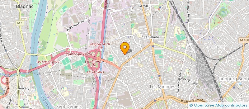 localisation de l'entreprise MONSIEUR MICKAELE VAKALEPU à TOULOUSE