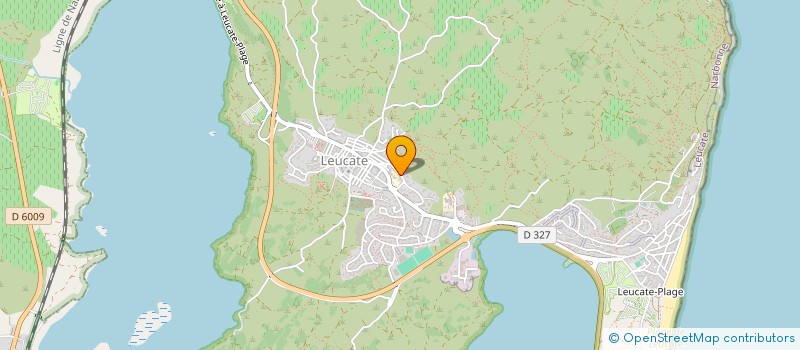 localisation de l'entreprise MONSIEUR MIGUEL-ANGEL ALVAREZ  LEUCATE