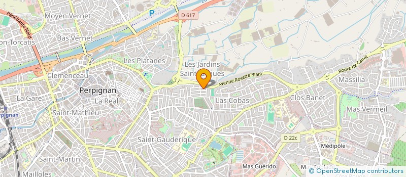 localisation de l'entreprise MONSIEUR MIGUEL LOPES DA SILVA  PERPIGNAN