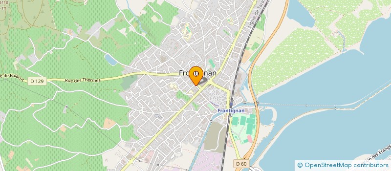 localisation de l'entreprise MONSIEUR MIGUEL PEREIRA NEVES à FRONTIGNAN