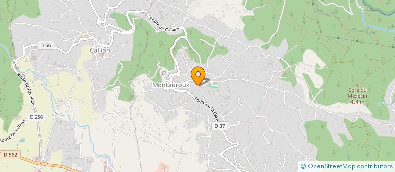 localisation de l'entreprise MONSIEUR MIGUEL ROJAS GILBERTE  MONTAUROUX