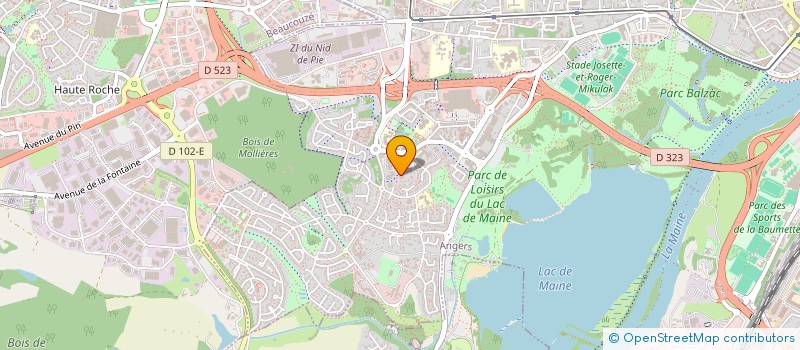 localisation de l'entreprise MONSIEUR MIGUEL ROMANI PINTO à ANGERS